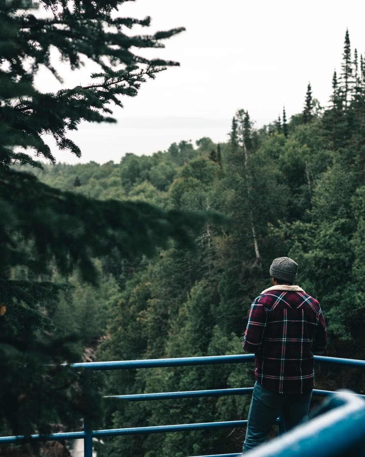 A person at a railing looking out over dense forest toward open water in the rain