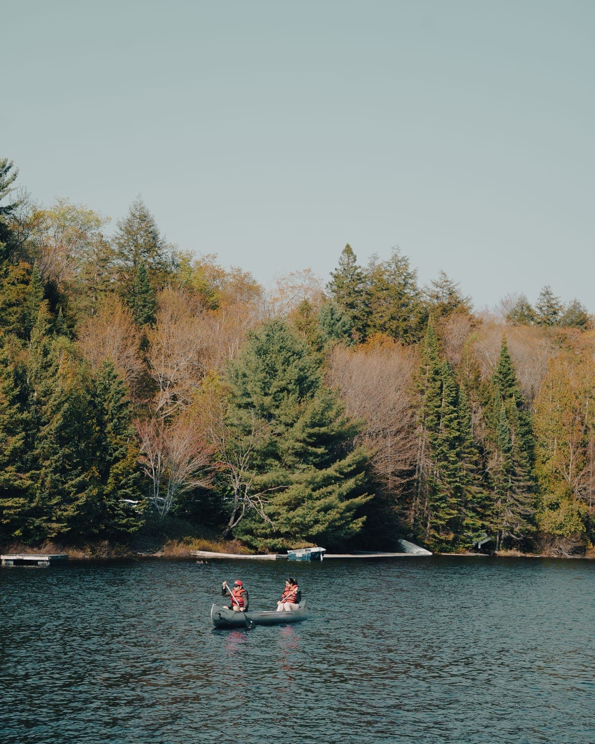 Two people paddling a canoe across open water toward a far shore of autumn trees