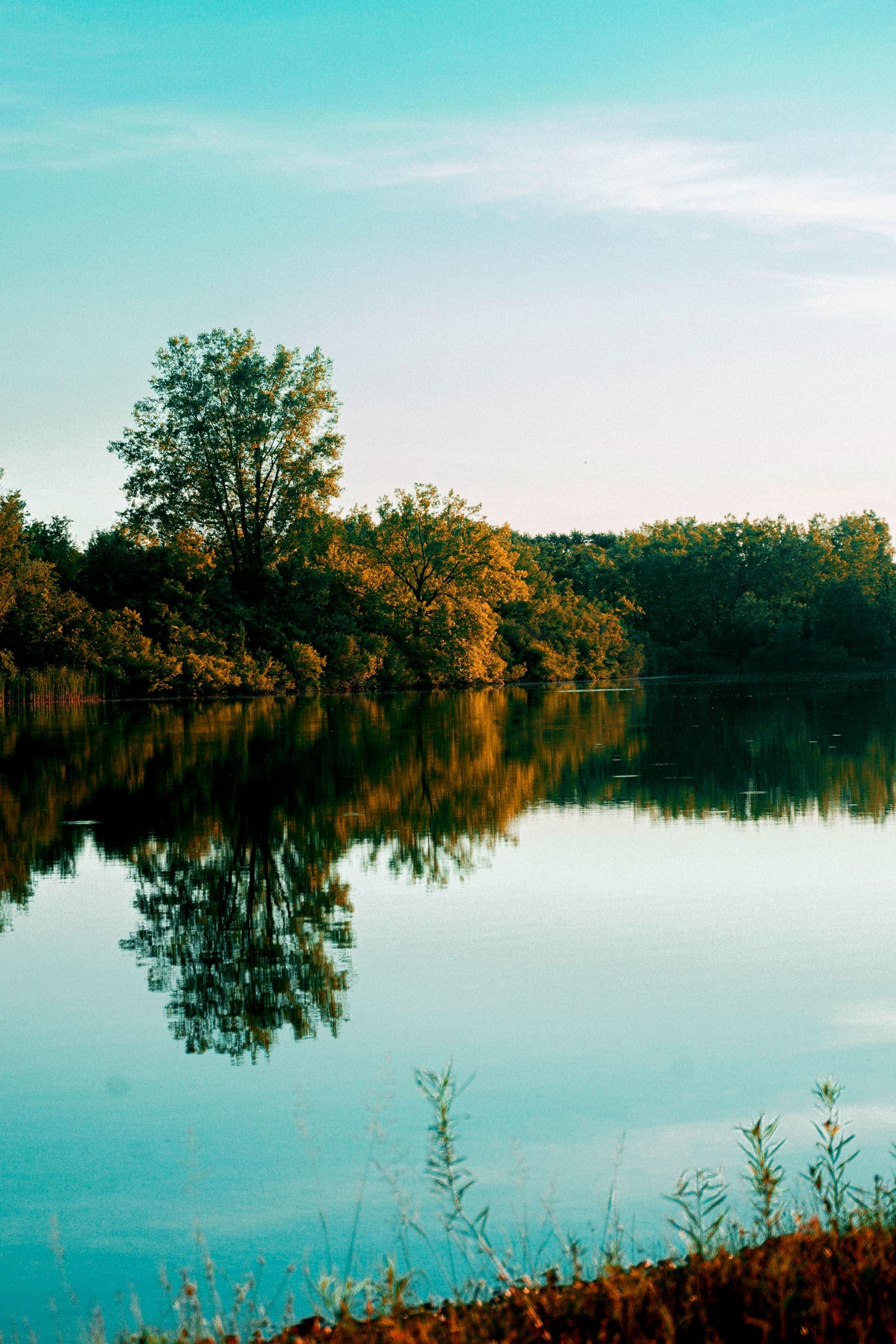 A still lake at low sun, a line of gold-lit trees along the far bank mirrored in flat teal water